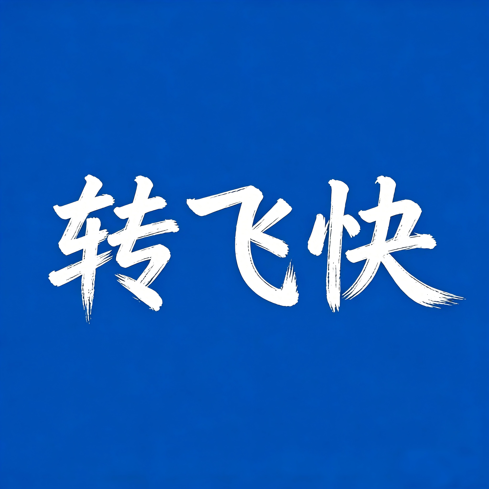 转飞快
